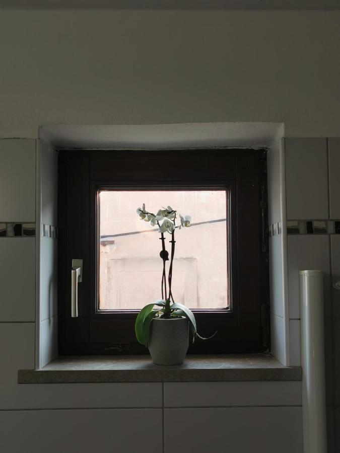 Istrian Old Town Apartment 科佩尔 外观 照片